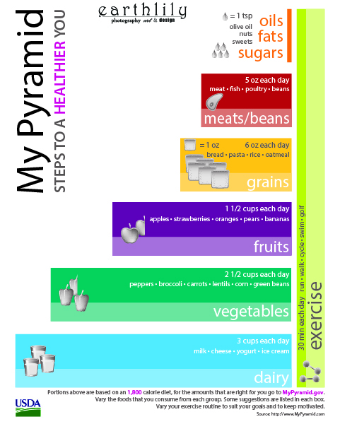 Food Pyramid
