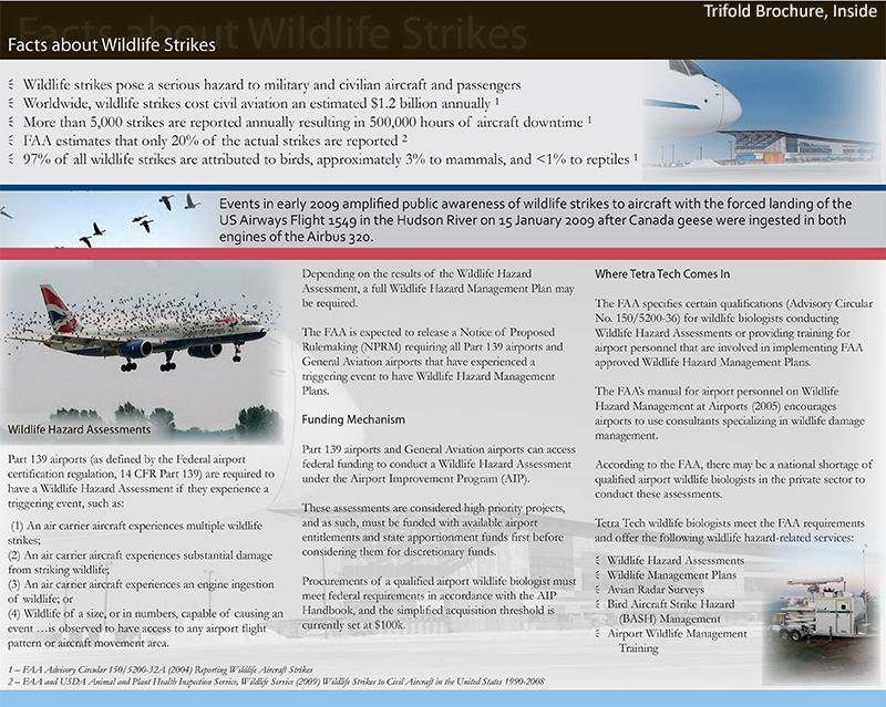 Airport Services pg2