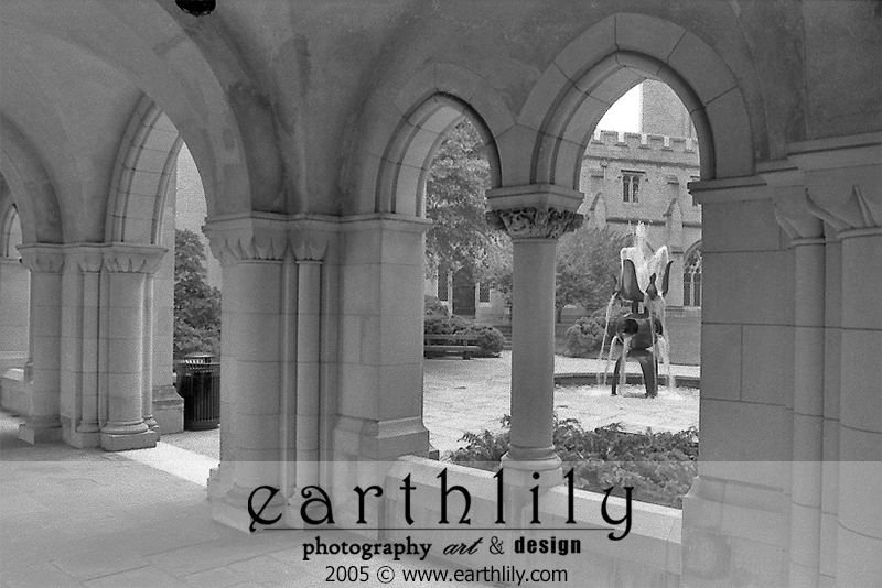 Cathedral Fountain, DC
